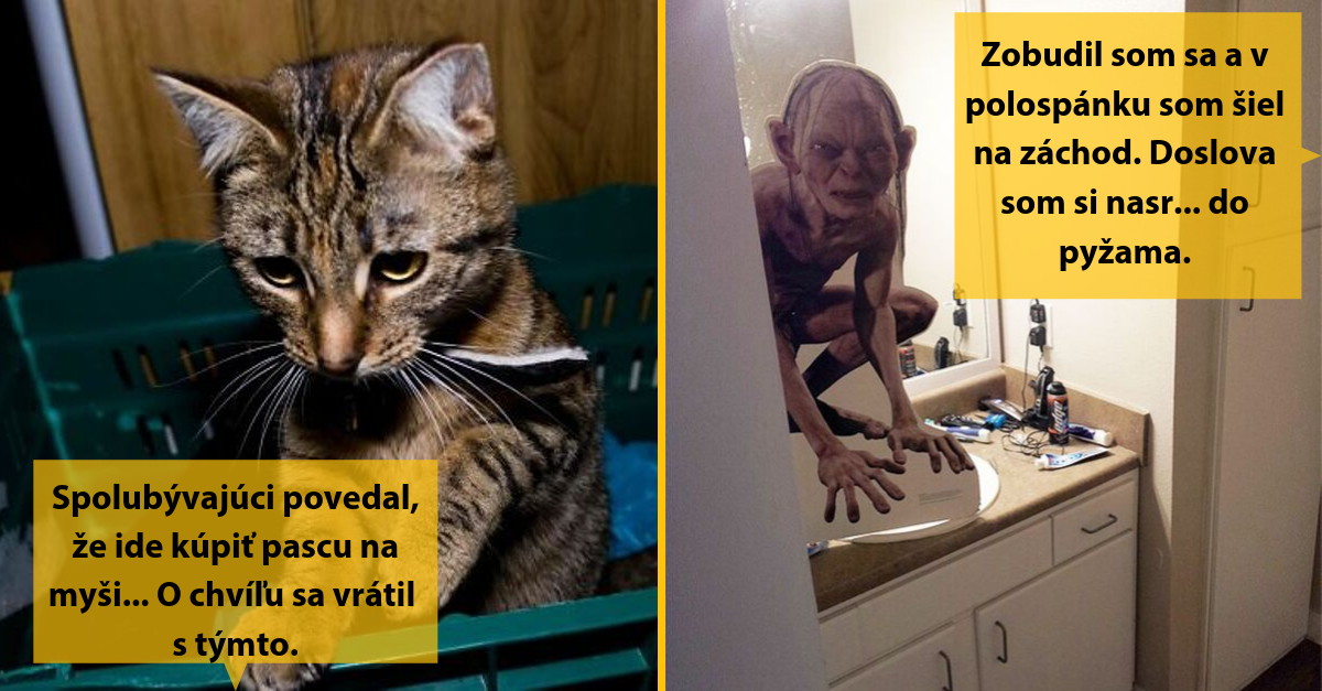 20 prípadov, kedy sa ľudia museli podeliť o svoje zážitky so spolubývajúcimi. Niekedy to vie byť naozaj výzva