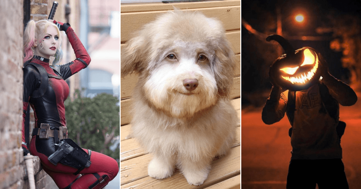 30+ Obrázkov, ktorými dokonale zabiješ čas #130