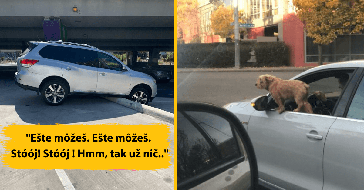 Kompilačka vodičov, ktorí môžu ďakovať bohu za to, že im vôbec vydali papiere