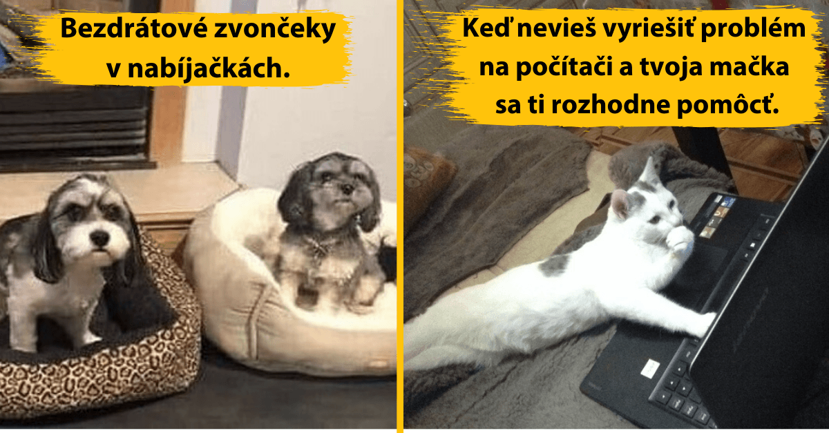 11 obrázkov, o ktoré by si bez popisku ani nezakopol