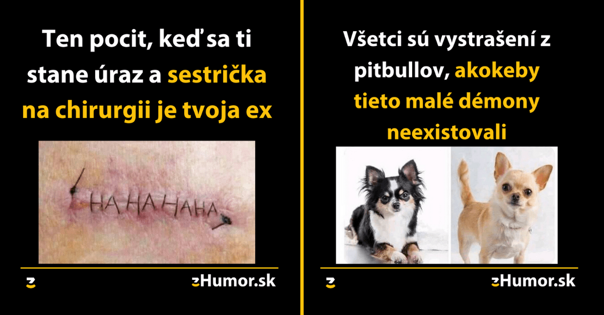 Zopár memečiek, ktoré vznikli aby ti spríjemnili dnešný deň #758 : Nie som stavaný pre beh na dlhé trate.