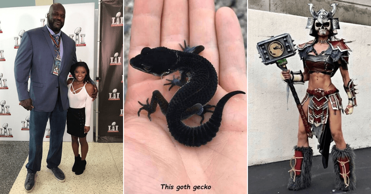 30+ Obrázkov, ktorými dokonale zabiješ čas #132