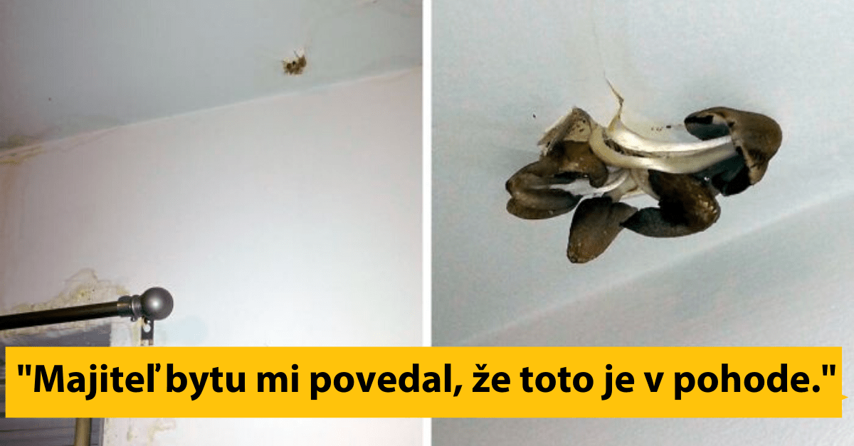 10+ prenajímateľov, ktorí robia svojim nájomcom zo života totálne peklo