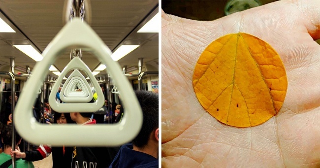 20 obrázkov, ktoré ulahodia tvojmu perfekcionistickému JA