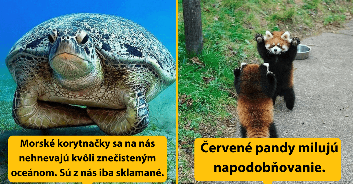 15 vtipných faktov o zvieratách, ktoré ste zaručene nikdy nepočuli