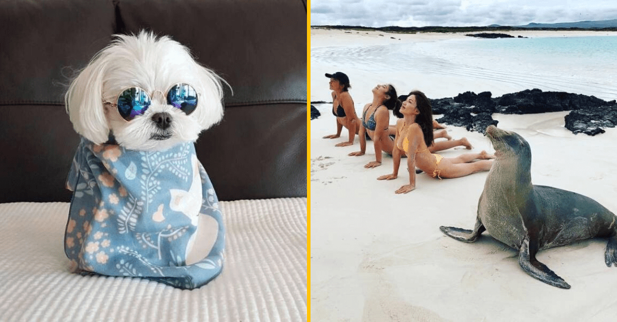 30+ Obrázkov, ktorými dokonale zabiješ čas #135