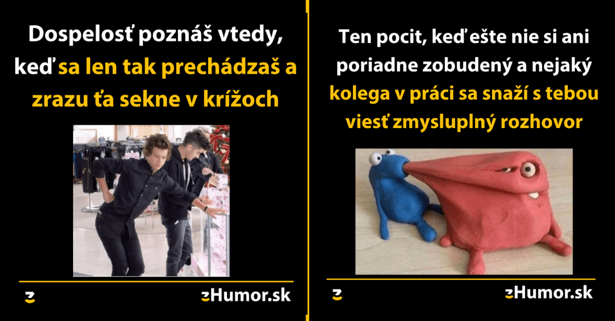 Zopár memečiek, ktoré vznikli aby ti spríjemnili dnešný deň #764 : Podľa mamy je každý kamarát potenciálny partner.