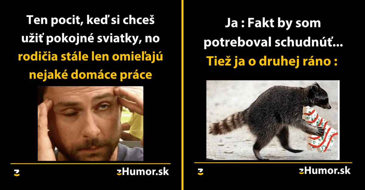 Zopár memečiek, ktoré vznikli aby ti spríjemnili dnešný deň #778 : Mojim snom sú pokojné sviatky!