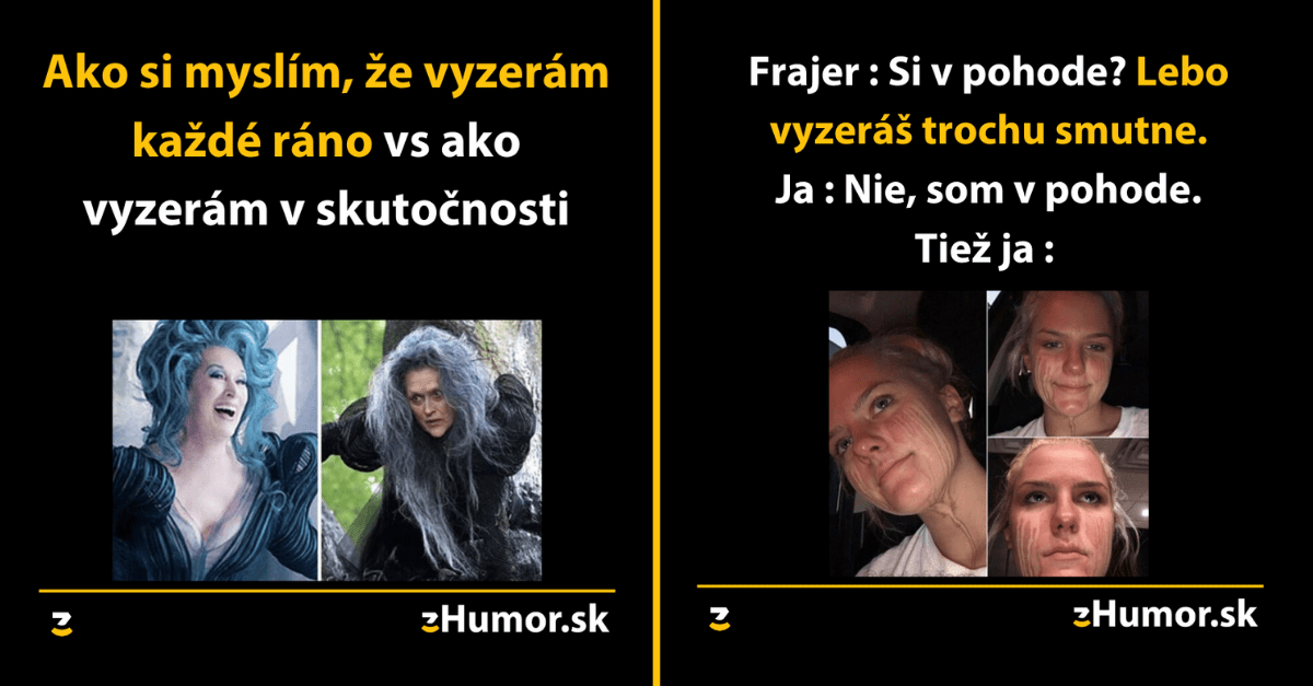 Ako vyzerá zábava s kamarátkou a ohováračky – Toto sú memes určené špeciálne pre ženy #89