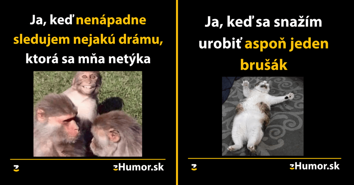 Zopár memečiek, ktoré vznikli aby ti spríjemnili dnešný deň #771 : Vianočné firemné večierky sú hrôza!