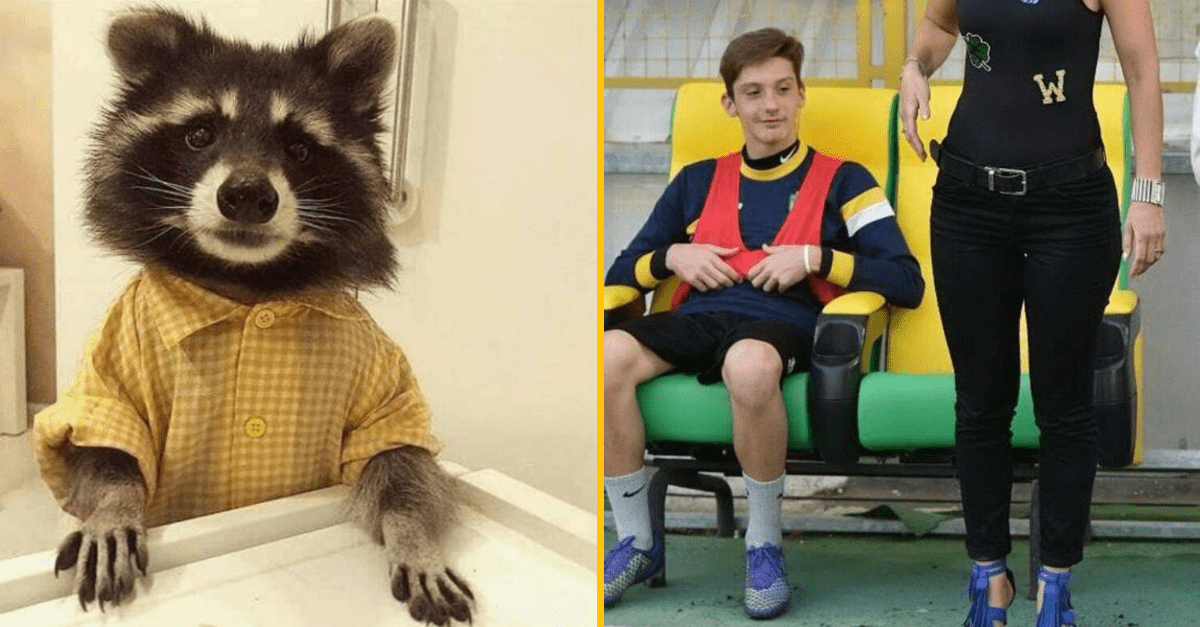 30+ Obrázkov, ktorými dokonale zabiješ čas #138