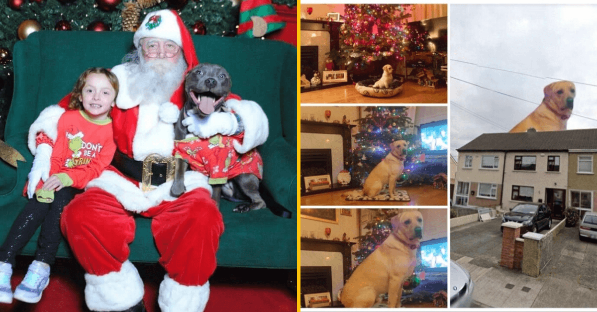 30+ Obrázkov, ktorými dokonale zabiješ čas #139