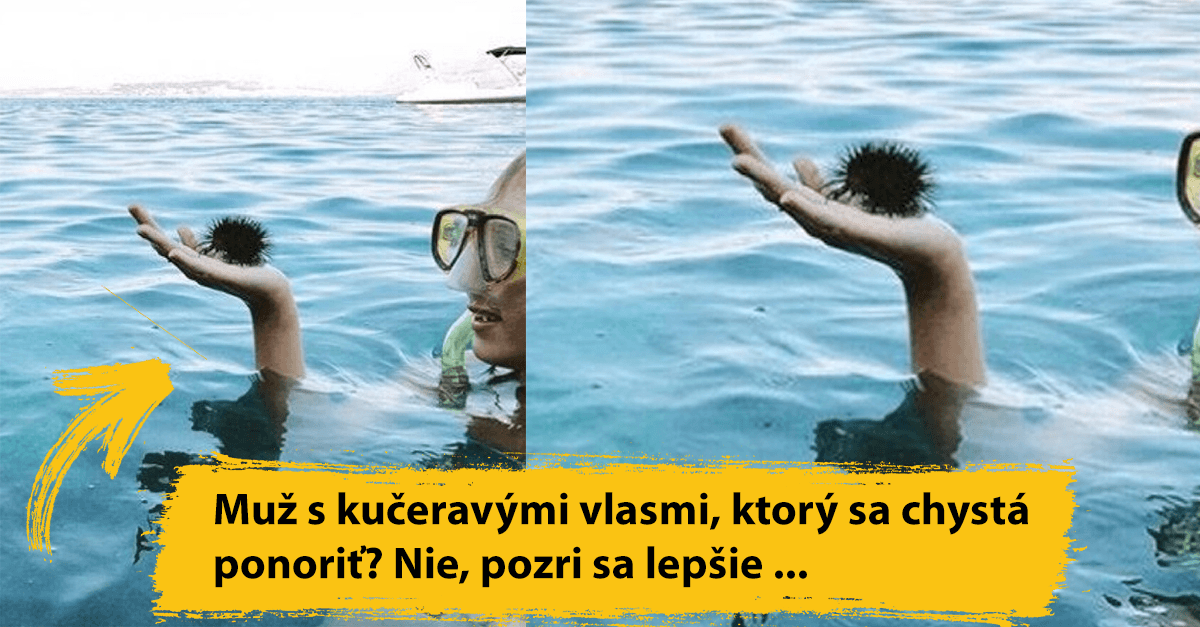 Zázračné fotky: Čím dlhšie sa pozeráš, tým viac toho uvidíš (17 zábavných obrázkov)