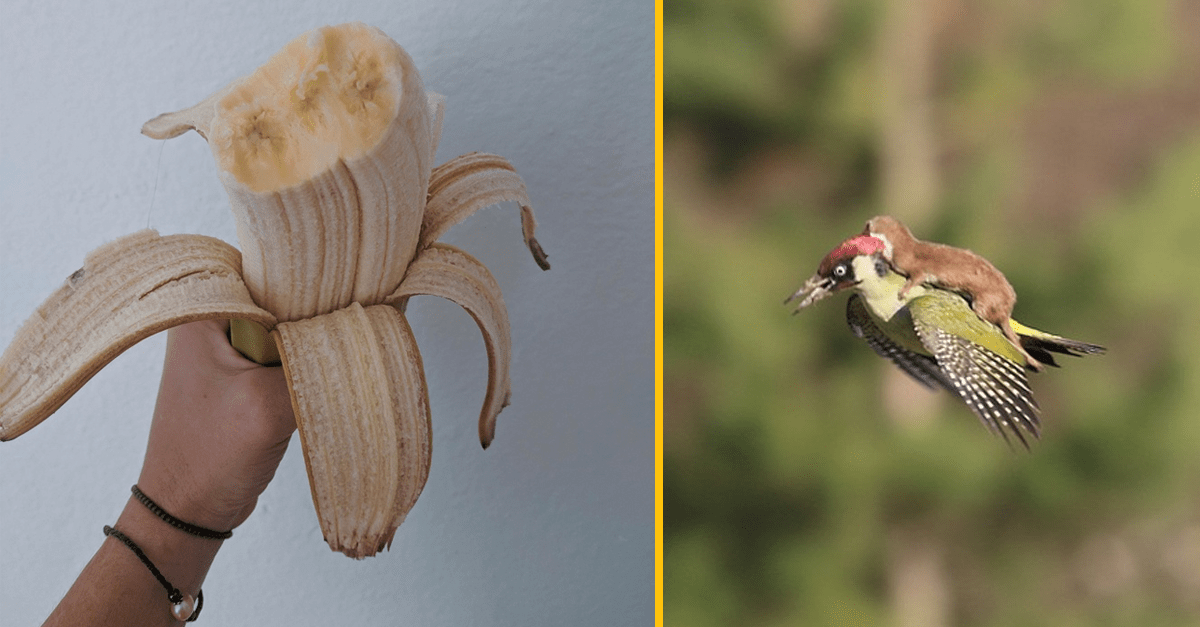 16 ľudí, ktorí odfotili niečo, s čím sa proste museli podeliť so svetom