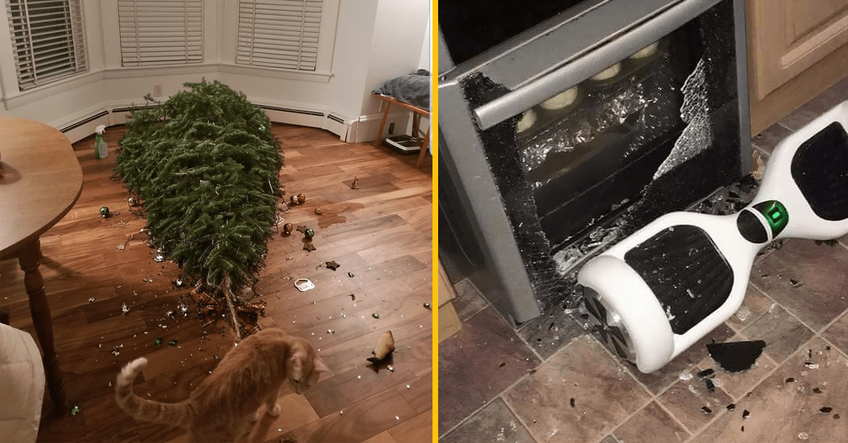 Ľudia, ktorí zaručene prežili ich najhoršie Vianoce (18 zábavných obrázkov)