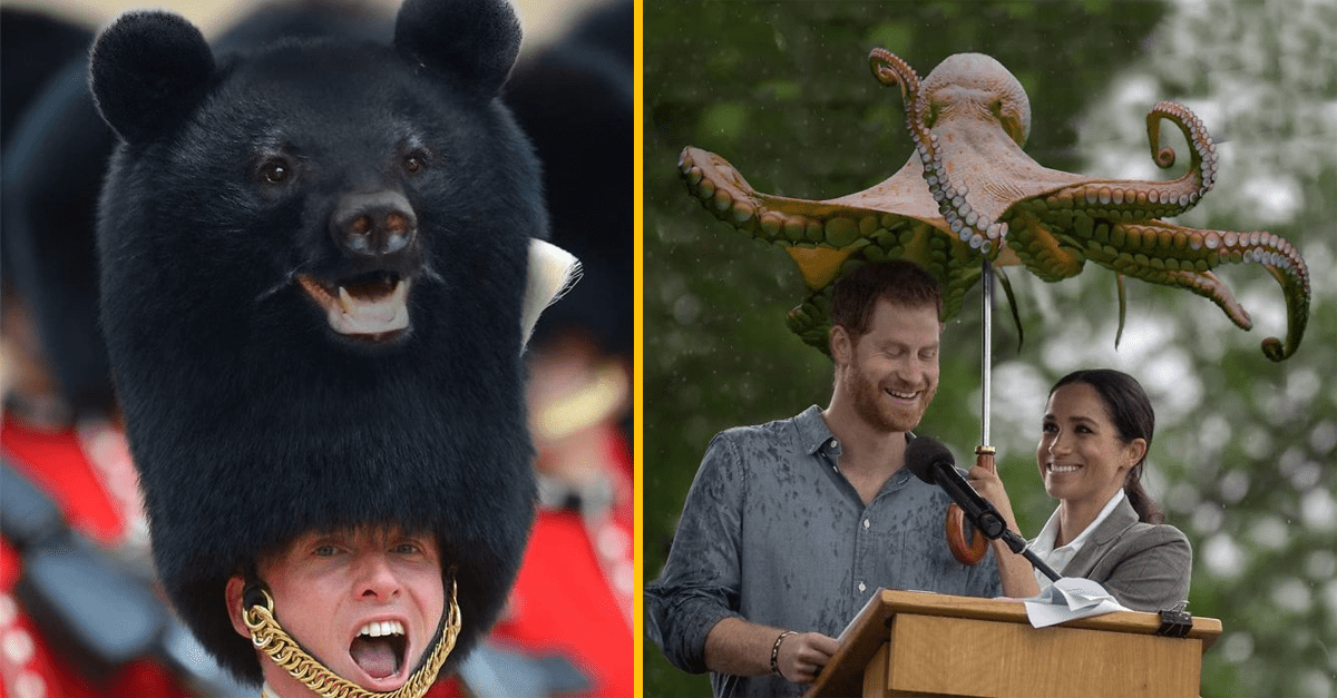Niekto upravil fotky zvierat do náhodných vecí a baví tým internet (20 zábavných obrázkov)