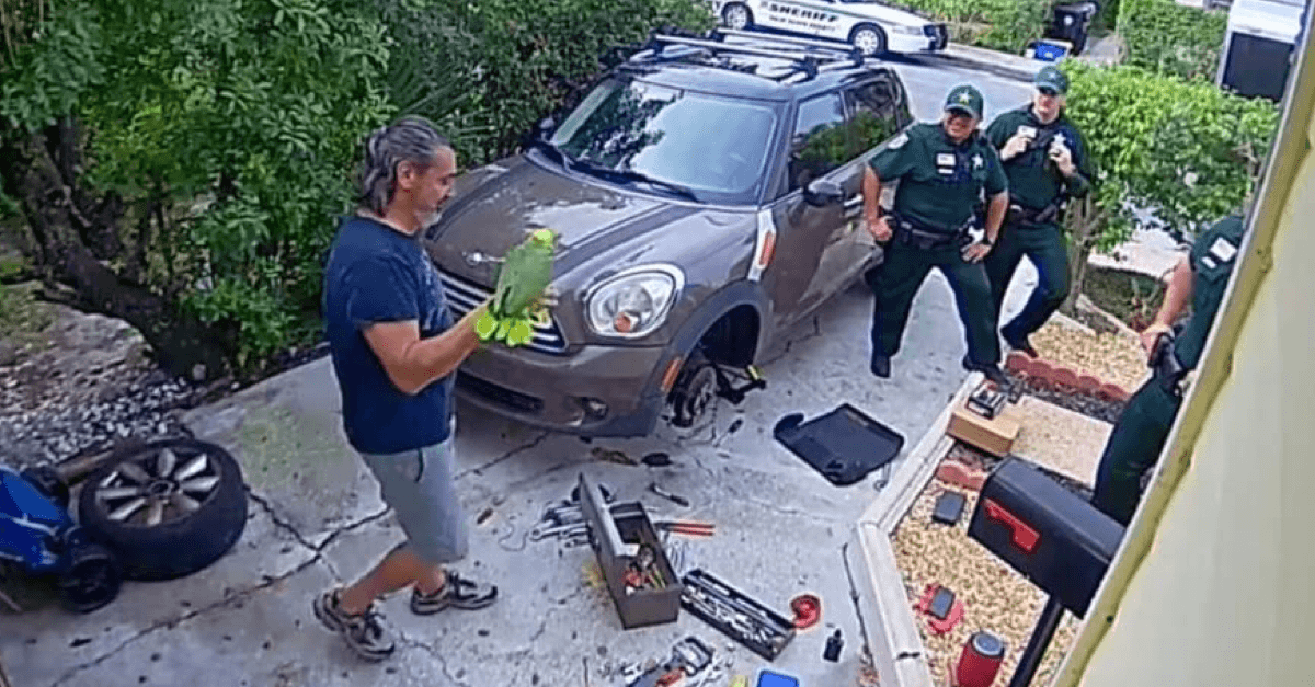 Muž zavolal políciu, pretože počul z domu ženské volanie o pomoc. Ukázalo sa, že to bol papagáj.