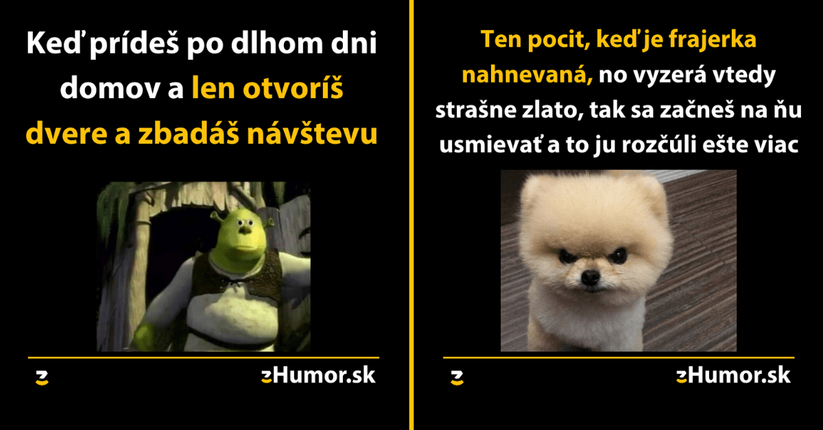 Zopár memečiek, ktoré vznikli aby ti spríjemnili dnešný deň #795 : Každý miluje pocit mať celý dom len pre seba.