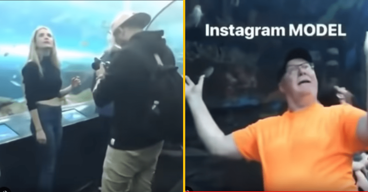 Dedko videl v akváriu instagramovú modelku ako komicky pózuje do objektívu, tak si z nej vystrelil (VIDEO)