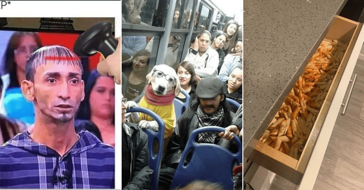 30+ Obrázkov, ktorými dokonale zabiješ čas #146