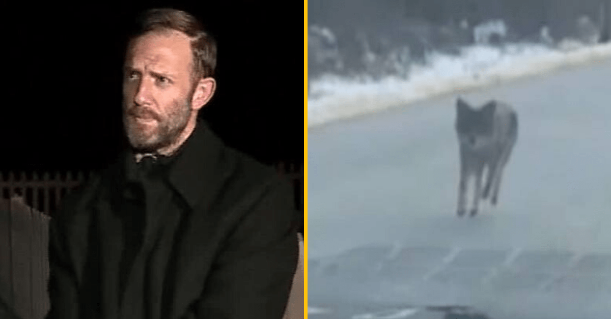 Muž uškrtil kojota holými rukami po tom, čo mu napadol dvojročného syna