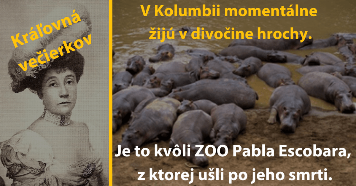 Šialené veci, ktoré sa stali kvôli bohatým ľuďom