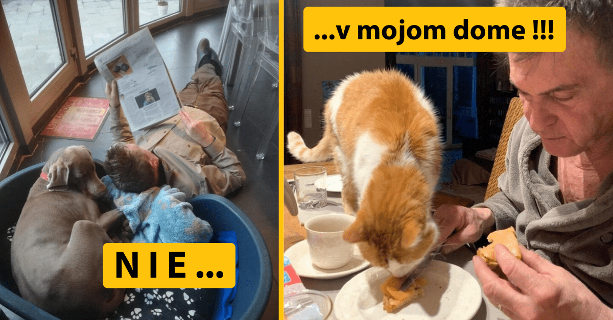 Premeny mužov, ktorí doma „nikdy žiadne zviera nechceli“