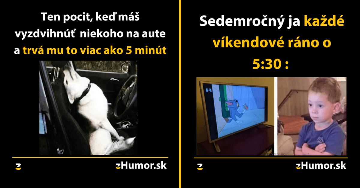 Zopár memečiek, ktoré vznikli aby ti spríjemnili dnešný deň #830 : Youtube turotiály vedia niekedy aj uškodiť.