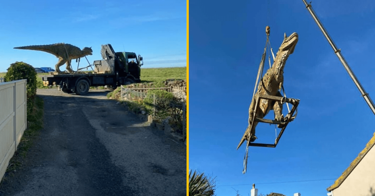 Otec svojmu 4-ročnému synovi omylom kúpil 6 metrov dlhého dinosaura v životnej veľkosti