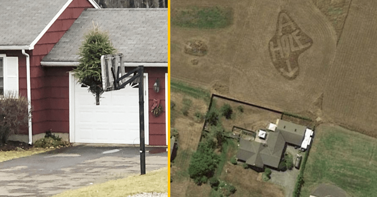 15 neúnavných susedov, s ktorými sa človek nikdy nenudí