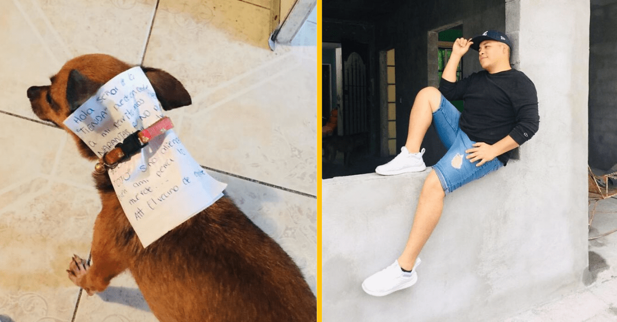 Chalan počas karantény vyriešil chuť na Cheetos po svojom, poslal do obchodu svoju čivavu