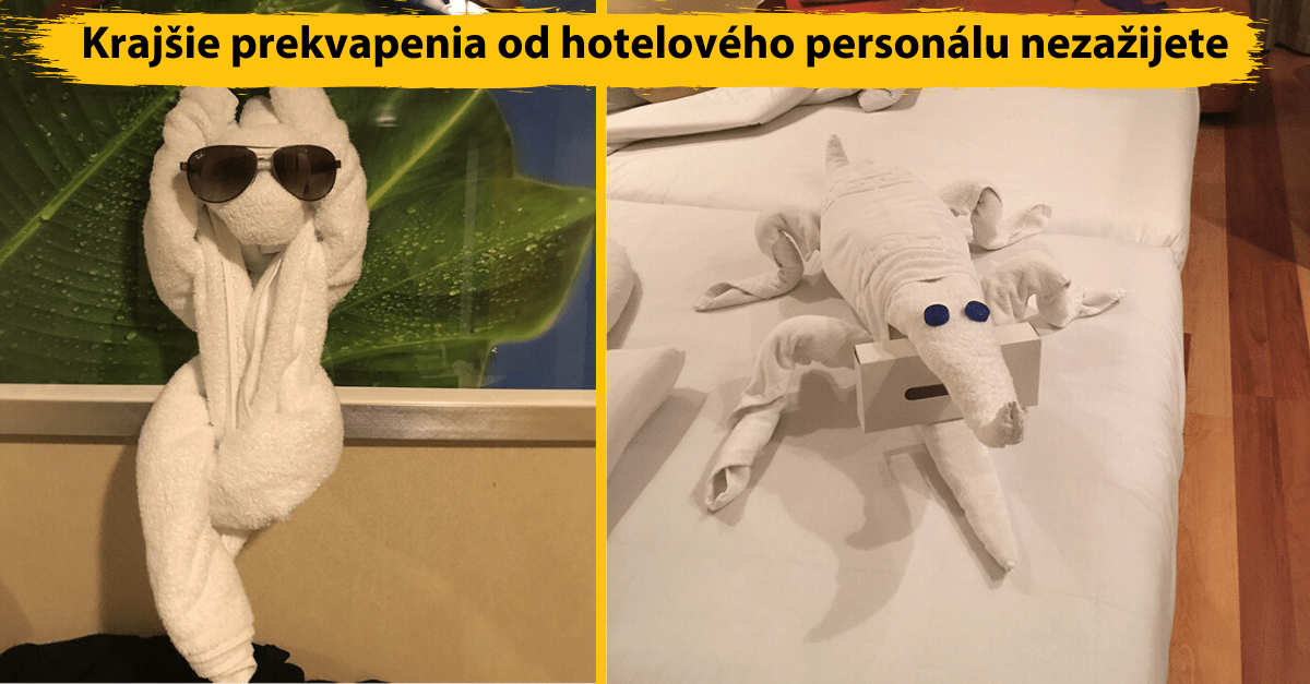 Ľudia z rôznych kútov sveta zdieľali umelecké „uterákové“ diela, ktoré ich čakali na hotelových izbách
