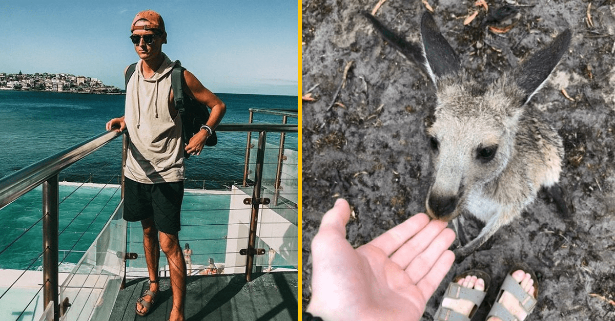 Muž sa počas novoročných osláv opil a adoptoval si malú kenguru. Zistil to pred mesiacom