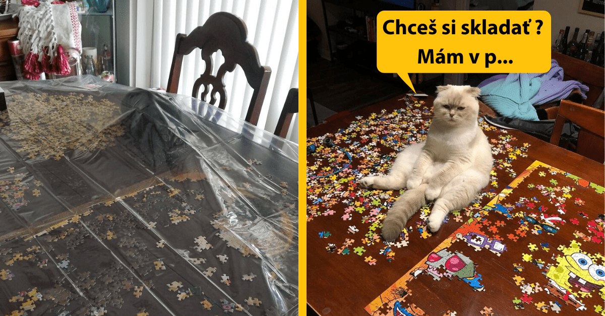 Kompilačka: Keď sa snažíte konečne dokončiť puzzle, no v ceste vám stojí úhlavný nepriateľ – mačka