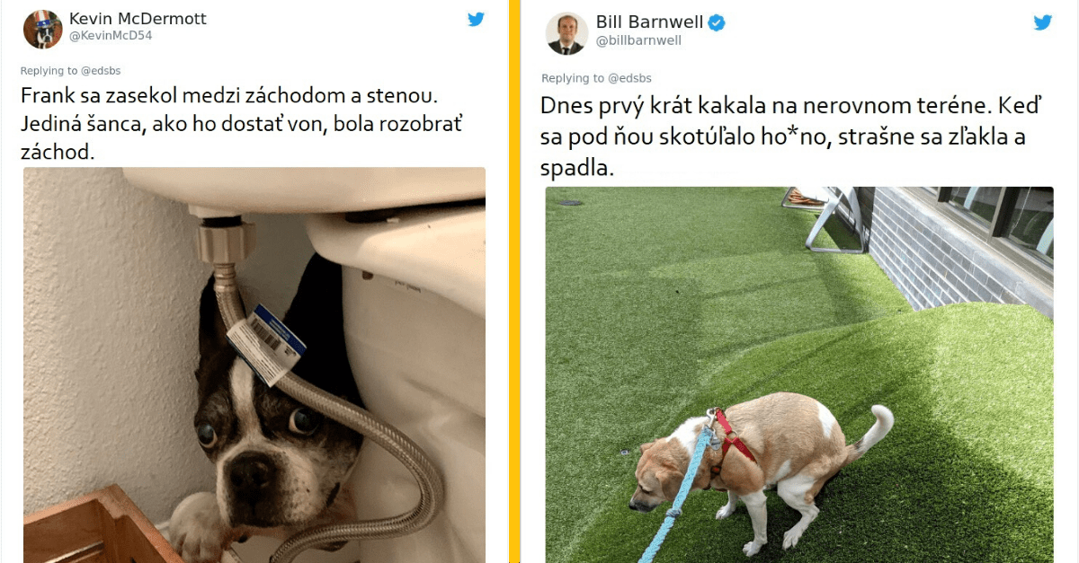 13 ľudí, ktorí zdieľajú vtipné príbehy o svojich štvornohých priateľoch