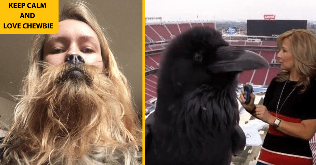 15 fotiek, ktoré vás oklamú lepšie, ako David Copperfield