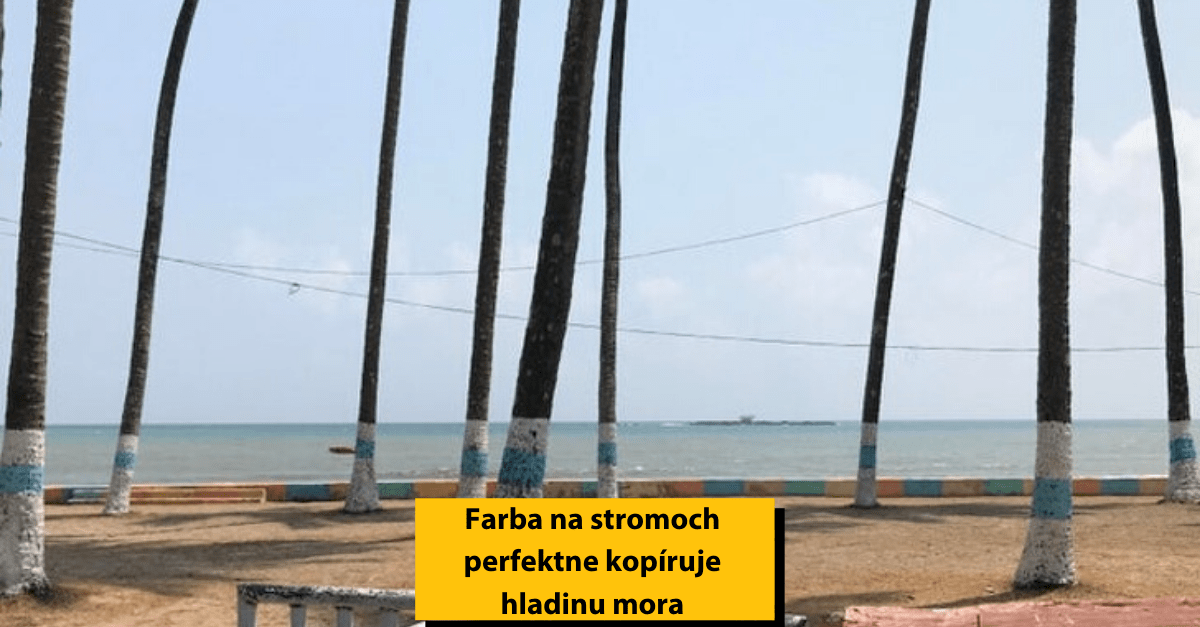 17 náhod, ktoré vyzerajú lepšie ako z photoshopu