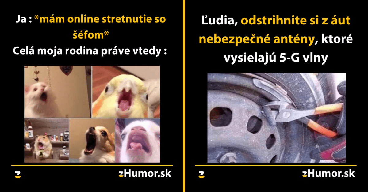 Zopár memečiek, ktoré vznikli, aby ti spríjemnili dnešný deň #858 : Všetky bezdetné páry prežívajú krásne časy.