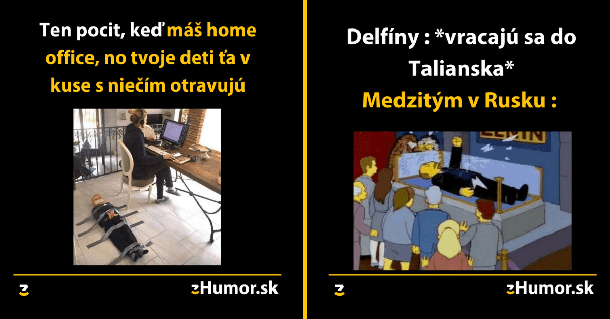 Zopár memečiek, ktoré vznikli, aby ti spríjemnili dnešný deň #850 : Home office s deťmi je peklo.