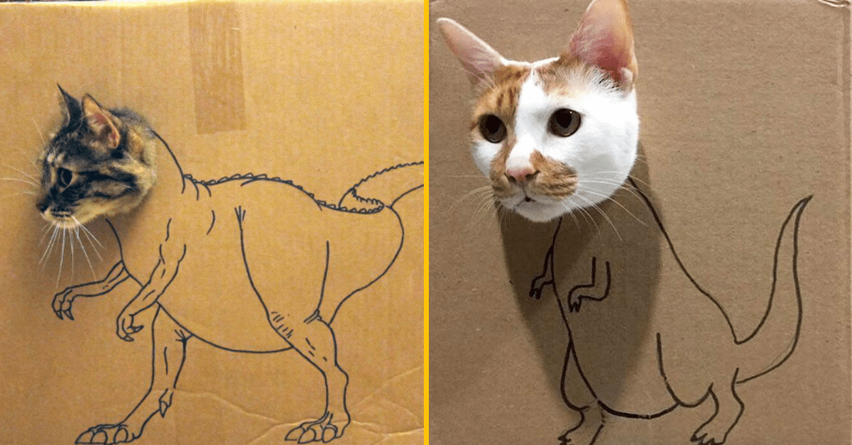 Ďalší zbytočný výplod internetu – majitelia zo svojich domácich miláčikov robia dinosaurov