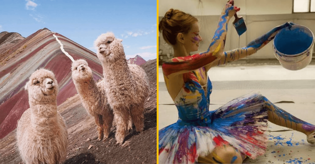 30+ Obrázkov, ktorými dokonale zabiješ čas #153