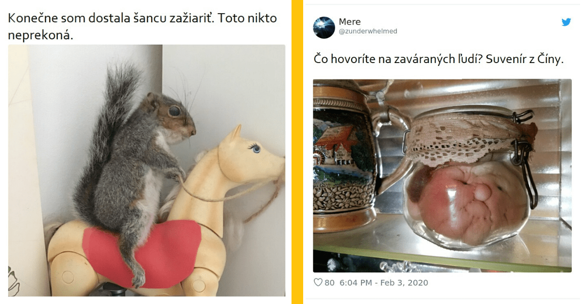 Výsledky: Niekto sa opýtal ľudí, aké najohavnejšie veci majú u seba doma