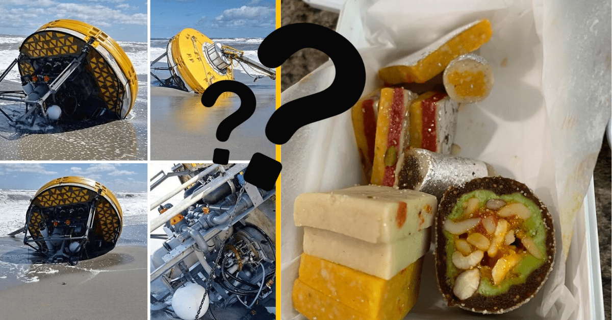 Ľudia nemali tušenie na čo sa pozerajú, tak hľadali odpovede na internete