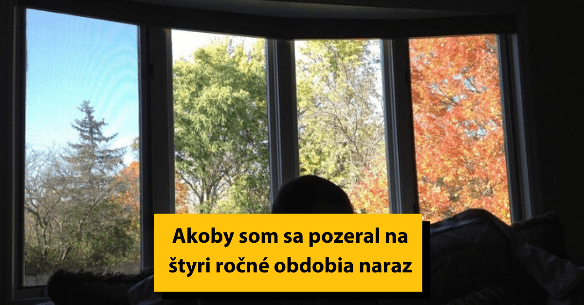 21 zaujímavých vecí, ktoré našli ľudia vo svojich domoch.