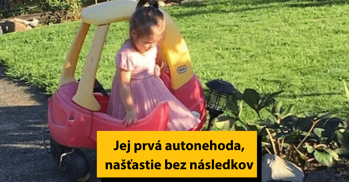 18 malých prestupkov deti a zvierat, za ktoré ale nikto nemôže byť potrestaný