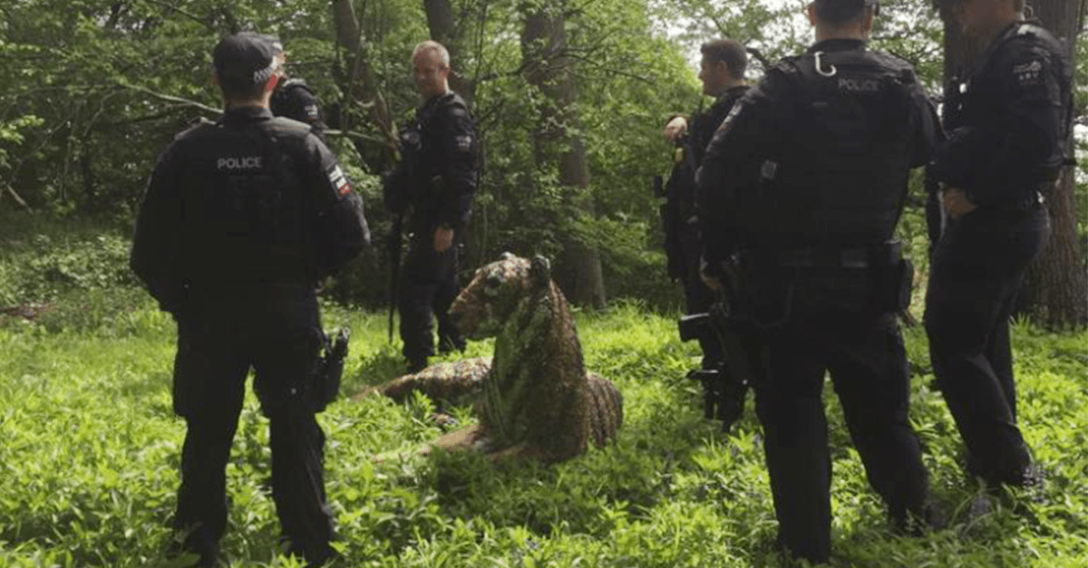 Britské policajné komando zasahovalo proti soche tigra. Mysleli si, že šelma je skutočná