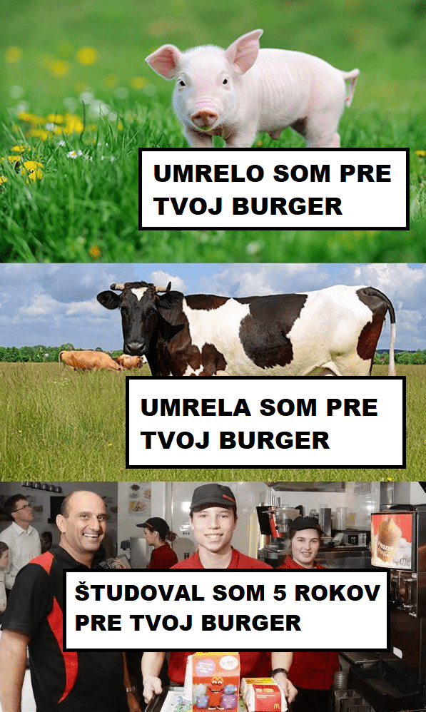 Všetko pre tvoj burger