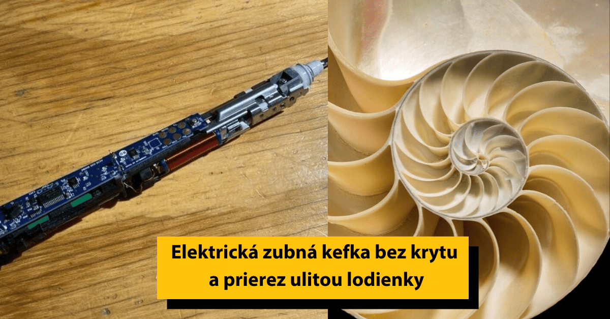 21 obrázkov, ktoré ukazujú reálne veci zvnútra