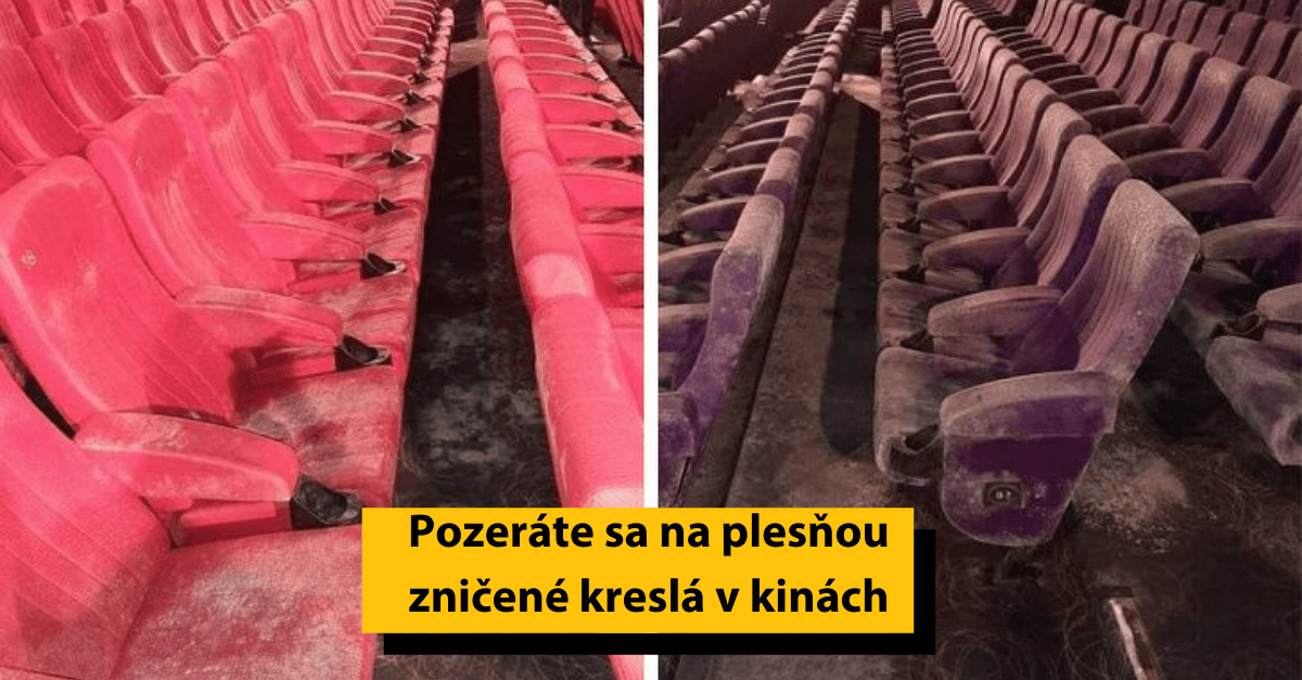 19 obrázkov, ktoré skvelo dopĺňajú otázku : ,,Čo by sa stalo, ak…“