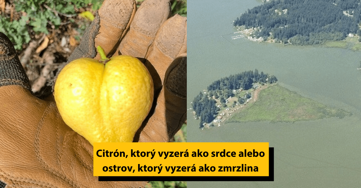 15 zaujímavých obrázkov, ktoré sa nevidia každý deň